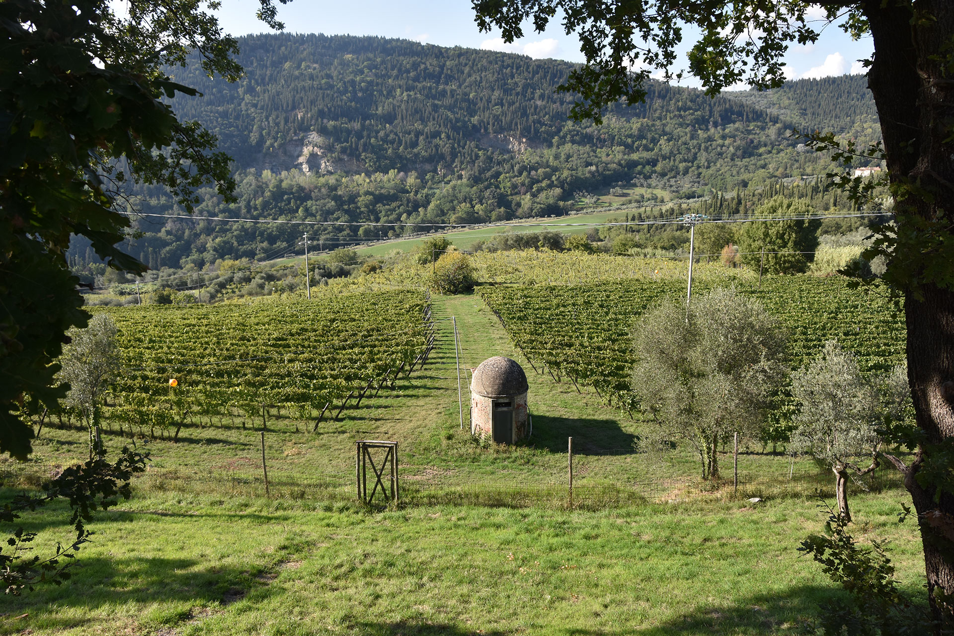 Bibi Graetz — estate